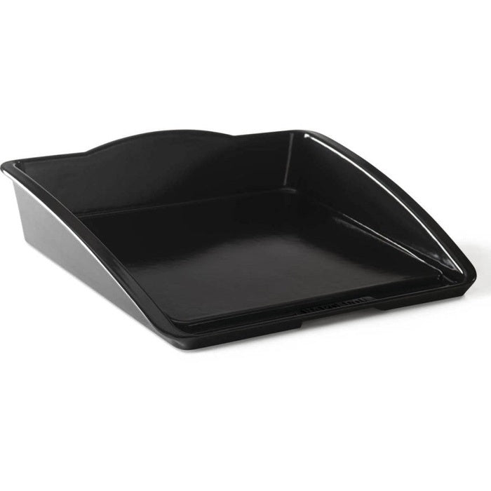 Cast Iron Plancha